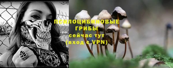 скорость Богданович