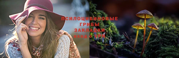 МДМА Богородицк